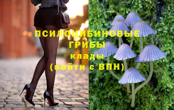 шишки Богданович